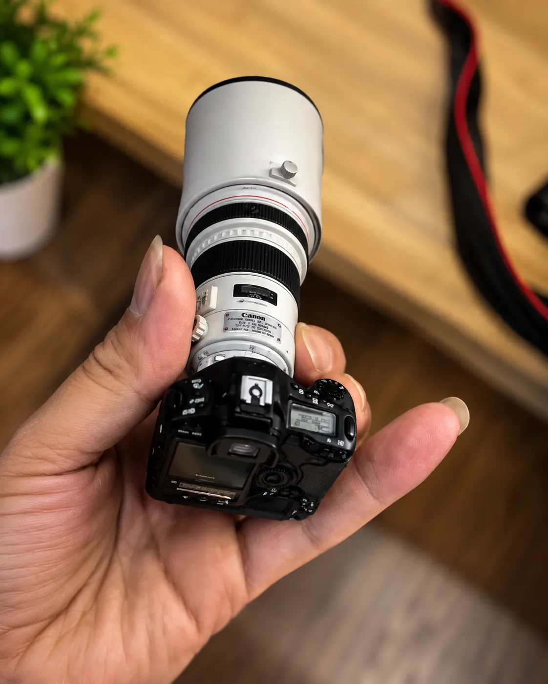 Canon-DSLR-and-telephoto-lens-close-up-200